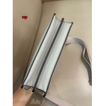 2024年高品質早秋新作入荷 FENDI バッグ wp工場size:23.14.6