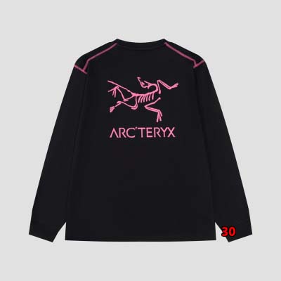 2024年9月23日早秋新品入荷ARCTERYX 長袖 Tシャツ 30工場