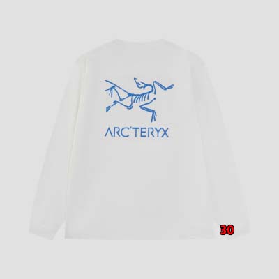 2024年9月23日早秋新品入荷 ARCTERYX 長袖 Tシャツ 30工場