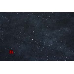 2024年9月3日早秋高品質新品入荷イヴサンローラン半袖 TシャツZL工場