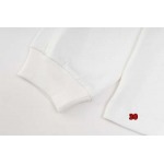 2024年9月23日早秋新品入荷 ARCTERYX 長袖 Tシャツ 30工場