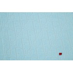 秋冬新品入荷ディオール 半袖 Tシャツ FF工場