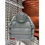 2024年10月15日秋冬高品質新品入荷ディオール ダウンジャケットmsh工場