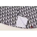 2024年10月17日秋冬新品入荷ディオール長袖 Tシャツ YG工場