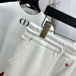 2024年10月22日秋冬高品質新品入荷ディオール スポーツズボ Q工場