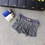 2024年秋冬新品人気FENDI下着一箱ごとに3枚