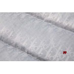 2024年10月29日秋冬新品入荷ディオール ダウンジャケットベスト FF工場