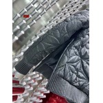 2024年10月29日秋冬高品質新品入荷ルイヴィトン綿入れの服ジャケットアウター520工場