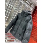 2024年10月30日秋冬高品質新品入荷ルイヴィトダウンジャケット520工場