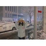 2025年11月4日秋冬高品質新品入荷 C a n a d a G o o s e ダウンジャケット BF工場