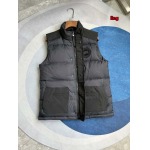 2025年11月4日秋冬高品質新品入荷 C a n a d a G o o s e ダウンジャケット BF工場