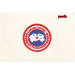 2025年11月4日秋冬高品質新品入荷 C a n a d a G o o s e ダウンジャケット BF工場