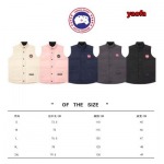 2025年11月4日秋冬高品質新品入荷 C a n a d a G o o s e ダウンジャケット BF工場