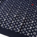 2024年11月15日秋冬新品入荷ルイヴィトン セーター FF工場