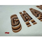 2025年早春高品質新品入荷シャネル 長袖 Tシャツ mpai工場