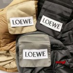 2024年11月28日秋冬高品質新品入荷LOEWE ダウンジャケットMF工場