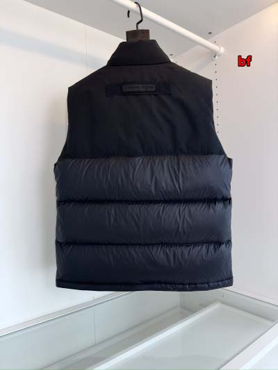 2025年11月4日秋冬高品質新品入荷 C a n a d a G o o s e ダウンジャケット BF工場