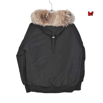 2024年12月4日秋冬高品質新品入荷 Can ada Goose ダウンジャケット BF工場