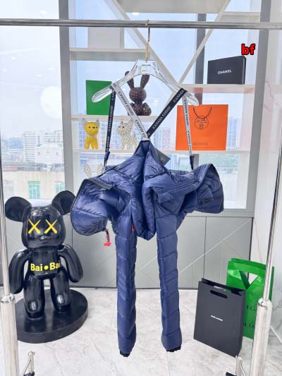 2024年12月4日秋冬高品質新品入荷 Can ada Goose ダウンジャケット BF工場