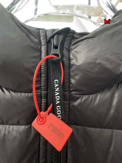 2024年12月4日秋冬高品質新品入荷 Can ada Goose ダウンジャケット BF工場