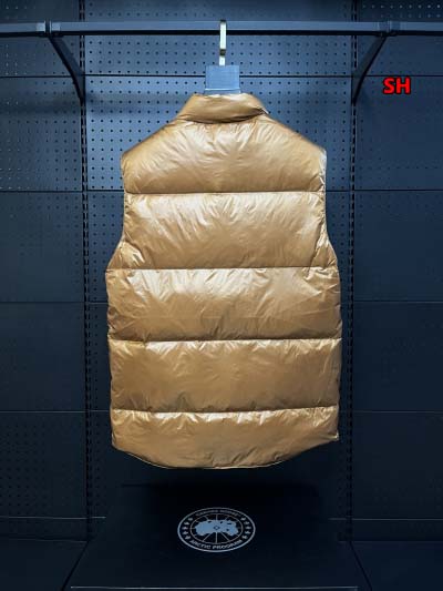 2024年12月4日冬高品質新品入荷 Can ada Goose ダウンジャケットベスト BF工場