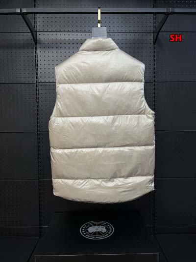 2024年12月4日冬高品質新品入荷 Cana da Goose ダウンジャケットベスト BF工場