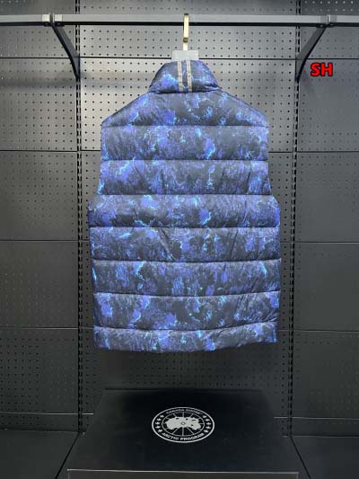 2024年12月4日冬高品質新品入荷 Cana da Goose ダウンジャケットベスト BF工場