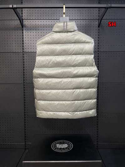 2024年12月4日冬高品質新品入荷 Can ada Goose ダウンジャケットベスト BF工場
