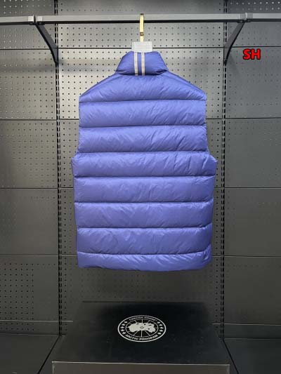 2024年12月4日冬高品質新品入荷 Cana da Goose ダウンジャケットベスト BF工場