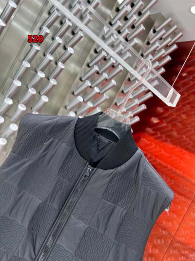 2024年12月9日秋冬高級N品新品 ルイヴィトン綿入れの服ジャケットベスト 520工場