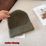 2024年12月3日新品入荷CELINE  ニット帽 暖かい防寒秋冬 chuang工場