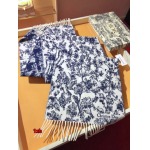 2024年12月3日新品入荷ディオール カシミアスカーフ 暖かい防寒秋冬 1z工場