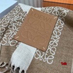 2024年12月3日新品入荷LOEWE カシミアスカーフ 暖かい防寒秋冬 1z工場