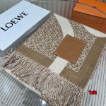 2024年12月3日新品入荷LOEWE カシミアスカーフ 暖かい防寒秋冬 1z工場