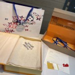 2024年12月3日新品入荷ルイヴィトン カシミアスカーフ 暖かい防寒秋冬 1z工場