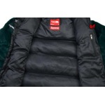 2025年11月4日秋冬高品質新品入荷Supreme & The North Faceダウンジャケット BF工場