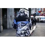 2025年11月4日秋冬高品質新品入荷Supreme & The North Faceダウンジャケット BF工場