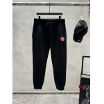 2025年11月4日秋冬高品質新品入荷 C a n a d a G o o s e ダウンジャケット BF工場