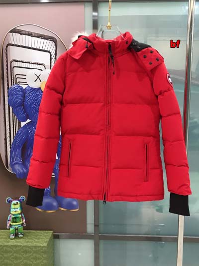 2025年11月4日秋冬高品質新品入荷 C a n a d ...