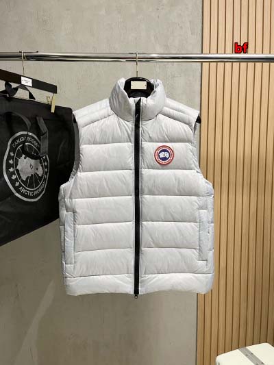 2024年12月4日秋冬高品質新品入荷 Cana da Go...