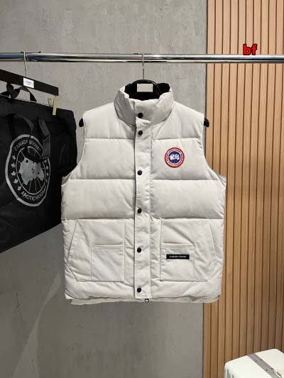 2024年12月4日秋冬高品質新品入荷 Cana da Go...