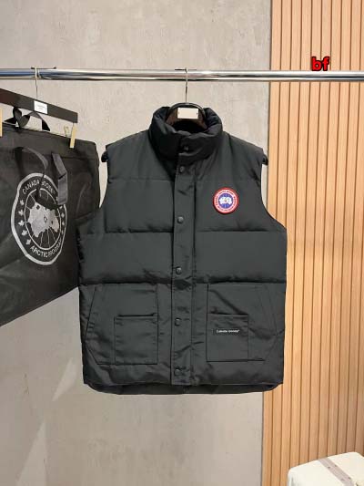 2024年12月4日秋冬高品質新品入荷 Cana da Go...