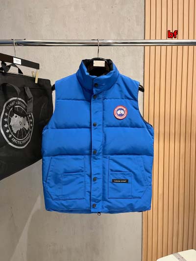 2024年12月4日秋冬高品質新品入荷 Cana da Go...