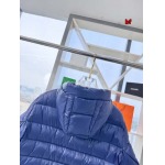 2024年12月4日秋冬高品質新品入荷 Can ada Goose ダウンジャケット BF工場