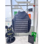 2024年12月4日秋冬高品質新品入荷 Can ada Goose ダウンジャケット BF工場