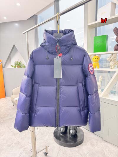 2024年12月4日秋冬高品質新品入荷 Ca nada Go...