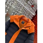 2024年12月4日入荷高級N品 冬 ZEGNA 在庫処分 ダウンジャケット