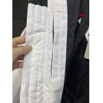 2024年12月4日冬高品質新品入荷 C anada Goose ダウンジャケットBF工場