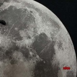 2024年12月5日秋冬原版復刻LOEWE 半袖 Tシャツ NICE工場