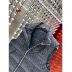 2024年12月9日秋冬高級N品新品 ディオールダウンジャケットベスト  520工場